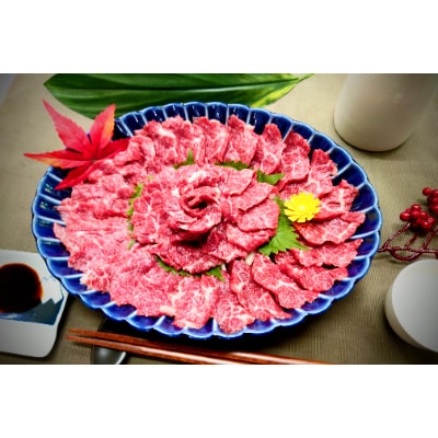 馬刺セット400g(馬刺大トロ200g×2)※タレ・生姜付(宇土市)