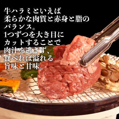 厚切り牛ハラミ ハーフステーキ(軟化加工) 800g