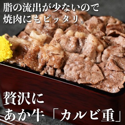 あか牛 切り落とし 500g (250g×2パック)