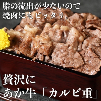 あか牛 切り落とし 1kg (250g×4パック)