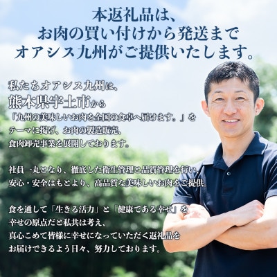 あか牛 切り落とし 1kg (250g×4パック)