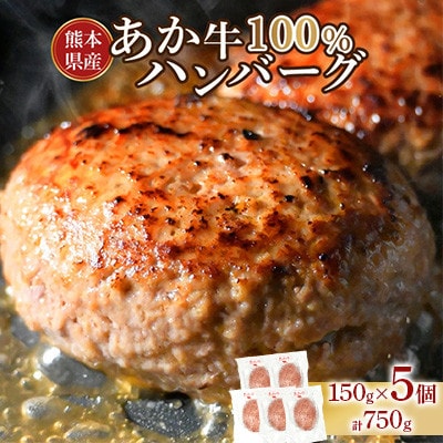 熊本県産 あか牛100%ハンバーグ　計750g
