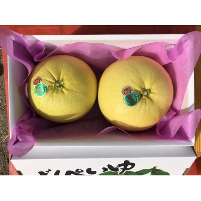 【ギフト用】熊本特産　晩白柚　約4kg(2玉)