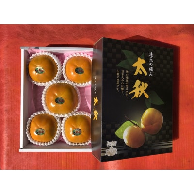 yMtgpzH` 2kg(5L 5`6)