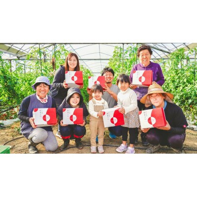 にがり栽培　ミニトマト約1.5キロ【さくまのあまこい】