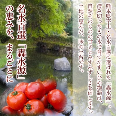 【上質な味わいを2本セットで】まいひめ物語トマトジュース(プラチナラベル)2本×1セット