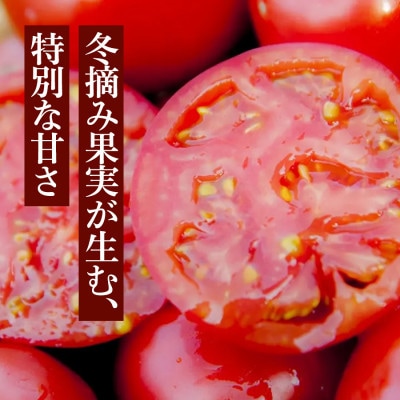 【軽やかな口当たりが魅力】まいひめ物語トマトジュース(赤ラベル)×3本
