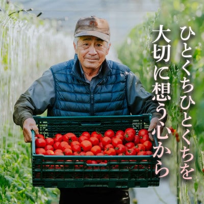 【定番の味を2本セットで】まいひめ物語トマトジュース(赤ラベル)2本×1セット