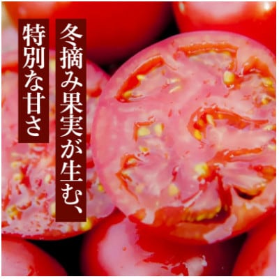 【毎月定期便】【軽やかな口当たりが魅力】まいひめ物語トマトジュース(赤ラベル)×1本全2回