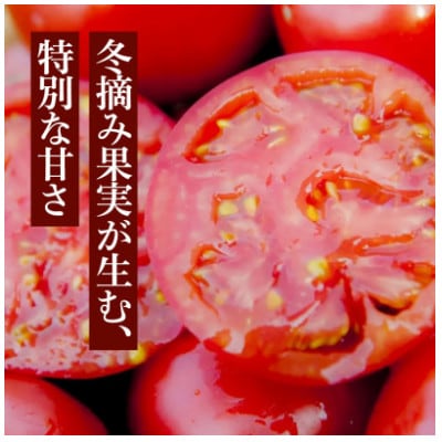 【毎月定期便】まいひめ物語トマトジュース(赤ラベル)(2本セット・各720ml)1セット全2回