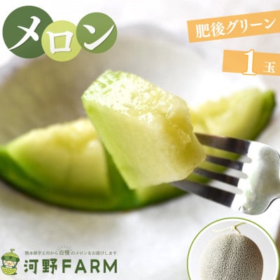 【数量限定】熊本県宇土市産メロン　肥後グリーン　1玉