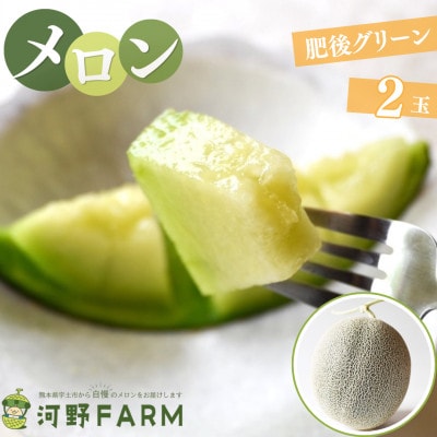 【数量限定】熊本県宇土市産メロン　肥後グリーン　2玉