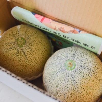 【数量限定】熊本県宇土市産　レノンメロン　2玉