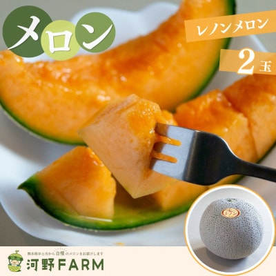 【数量限定】熊本県宇土市産　～春～レノンメロン　2玉　