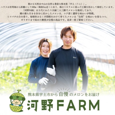 【数量限定】熊本県宇土市産　～春～レノンメロン　2玉　