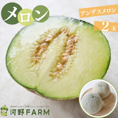 【数量限定】熊本県宇土市産　アンデスメロン　2玉　