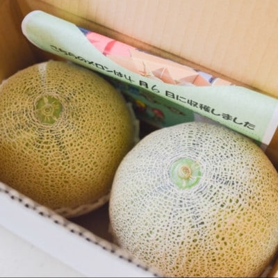 【数量限定】熊本県宇土市産　アンデスメロン　2玉　