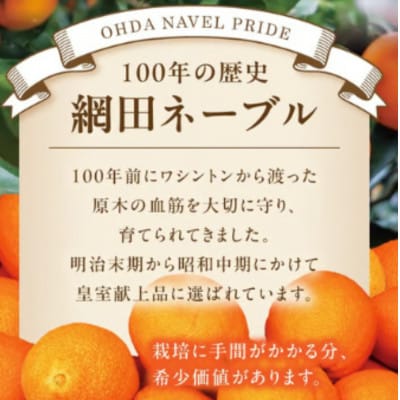 【先行予約】網田ネーブル3kg(約12玉～15玉)