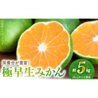 【福島オレンジ農園】極早生みかん　5kg