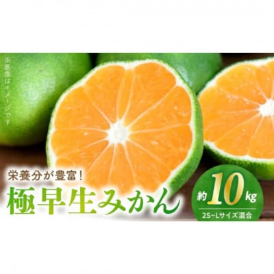 【福島オレンジ農園】極早生みかん　10kg