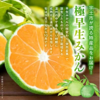【福島オレンジ農園】極早生みかん　10kg