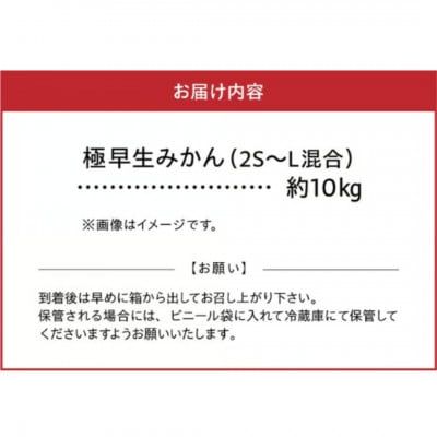 【福島オレンジ農園】極早生みかん　10kg