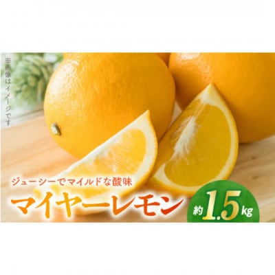【先行予約】福島オレンジ農園 マイヤーレモン 1.5kg
