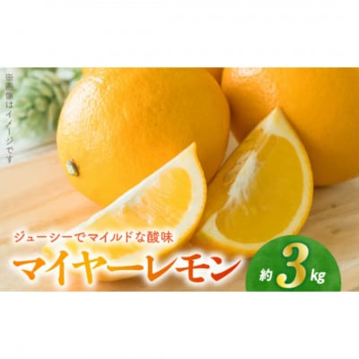 【先行予約】福島オレンジ農園 マイヤーレモン 3kg