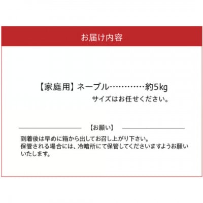 【先行予約】福島オレンジ農園 おいしい樹成甘熟!!　ネーブル(家庭用)約5kg