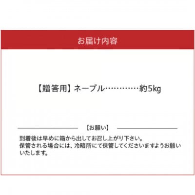【先行予約】福島オレンジ農園 おいしい樹成甘熟!!　ネーブル(贈答用)約5kg