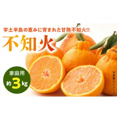 【先行予約】福島オレンジ農園 おいしい樹成甘熟!!　不知火(家庭用)約3kg