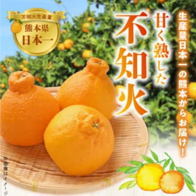 【先行予約】福島オレンジ農園 おいしい樹成甘熟!!　不知火(家庭用)約3kg