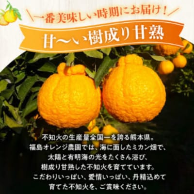 【先行予約】福島オレンジ農園 おいしい樹成甘熟!!　不知火(家庭用)約3kg