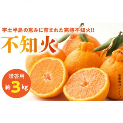 【先行予約】福島オレンジ農園 おいしい樹成甘熟!!不知火(贈答用)約3kg