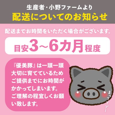 鹿児島県産黒豚「優美豚」肩・モモ・こま切れ・ミンチセット