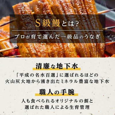 横山桂一さんのS級鰻　特大サイズ3尾(計540g以上)