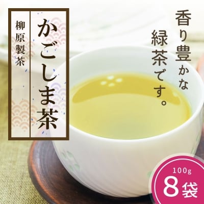 鹿児島茶【緑茶】100g×8袋
