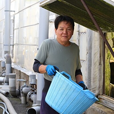 泰正オーガニック(横山さんの鰻) 特大2尾