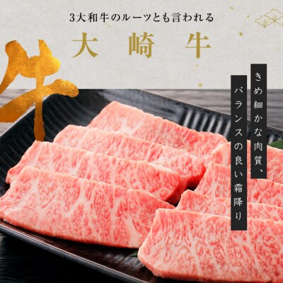 隆之国プレミアムライスバーガー(大判6個入り)