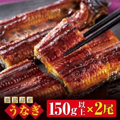 【鹿児島産】地下水で育てた逸品 鰻 うなぎ 蒲焼 150g以上×2尾