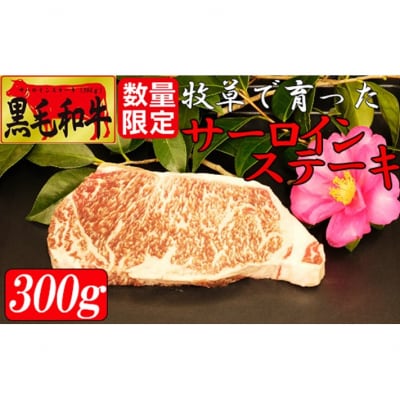 牧草で育った黒毛和牛　サーロインステーキ(数量限定)