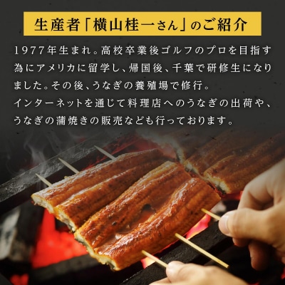 横山桂一さんのS級鰻 大3尾 (計450g)
