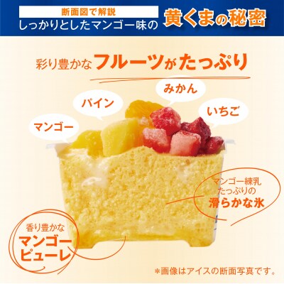 南国白くま名物マンゴー詰合せ 10個セット