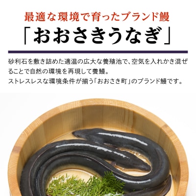 鹿児島県産うなぎの肝 山椒煮 75g×8袋(計600g)