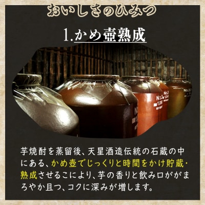 かめ壺熟成限定焼酎「呑酔楽」(てんすいらく)720ml×2本