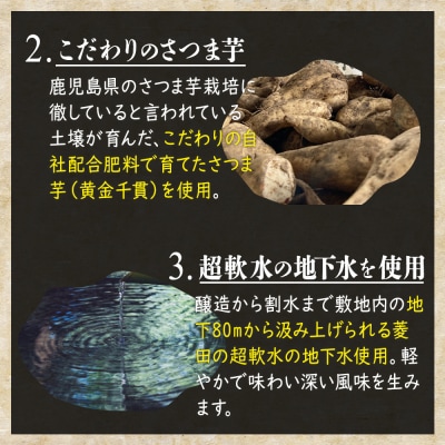 かめ壺熟成限定焼酎「呑酔楽」(てんすいらく)720ml×2本