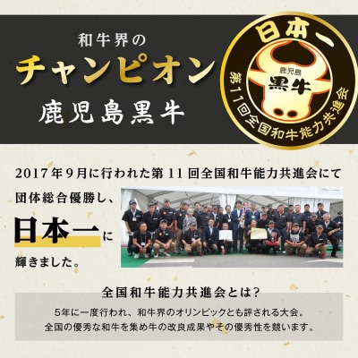 鹿児島黒牛ウデスライスセット(900g)【D-3501】