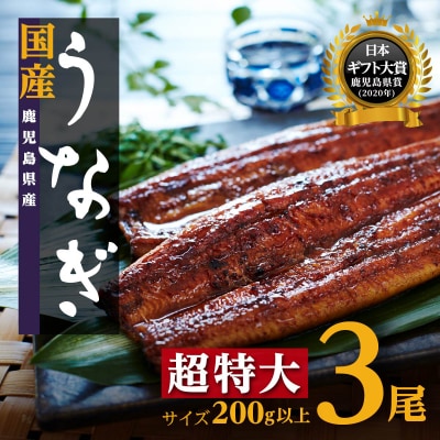 鹿児島県産長蒲焼特大3尾(200g以上×3尾) | ふるさと納税のお礼品
