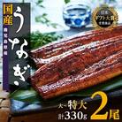 【12/11より価格改定】鹿児島県産うなぎ長蒲焼2尾