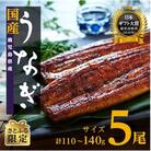 【さとふる限定】鹿児島県産うなぎ長蒲焼5尾(110g～140g/尾)